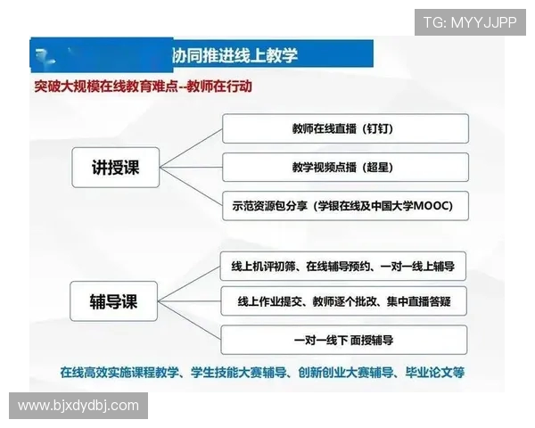 南京攀岩队耐力训练的科学探索与实践分享