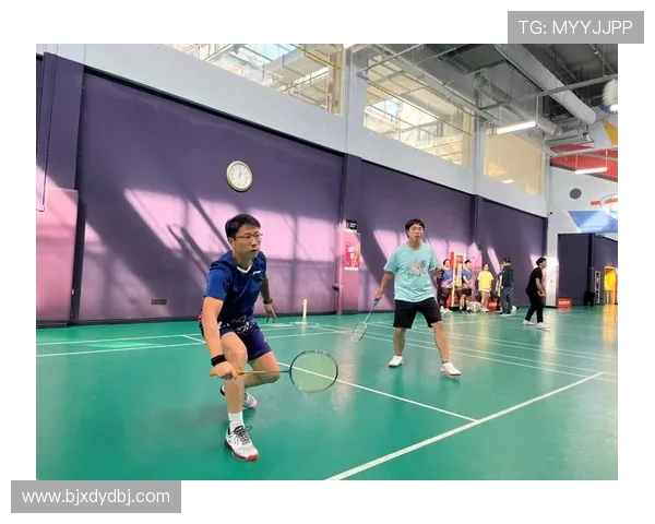 杭州羽毛球队的转换打法解析与战术创新探讨