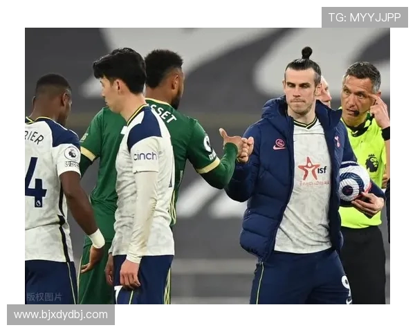 尼斯与贝尔谢实力对比分析谁能在比赛中胜出