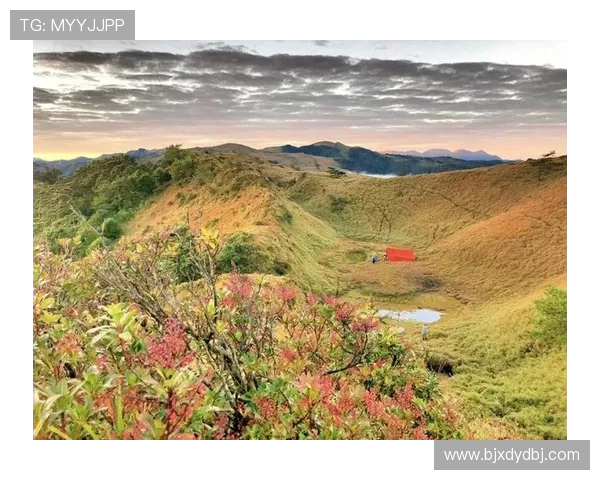 山行山神与东京的对话探寻城市与自然的和谐共生之道 山行山神与东京的对话探寻城市与自然的和谐共生之道