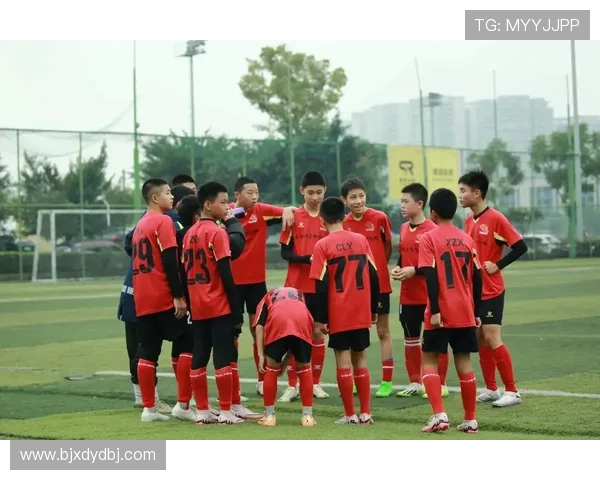 刘军独家解析足球技巧与战术分享助你提升球场表现 刘军独家解析足球技巧与战术分享助你提升球场表现